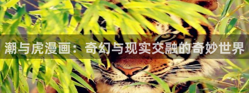 香蕉漫画漫画：潮与虎漫画：奇幻与现实交融的奇妙世界
