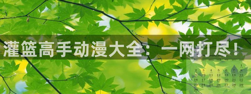 香蕉在线观看视频：灌篮高手动漫大全：一网打尽！