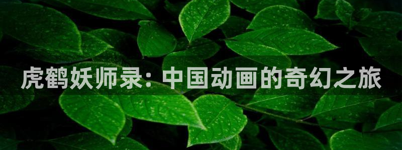 香蕉文化漫画在线看：虎鹤妖师录: 中国动画的奇幻之旅