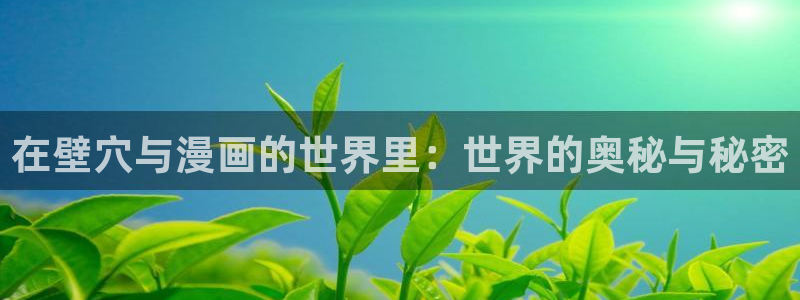 香蕉网站在线观看