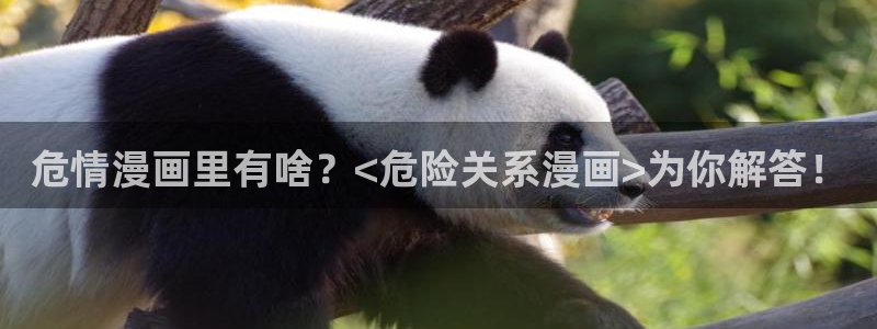 香蕉文化 漫画小说
