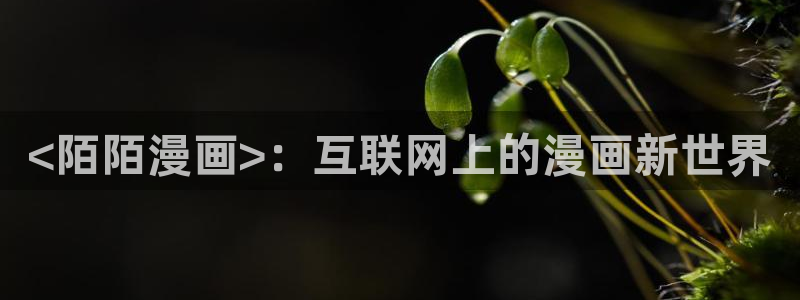 香蕉文化漫画免费版