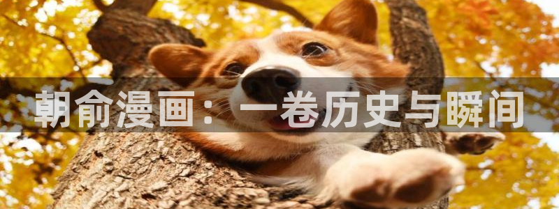 香蕉漫画网站入口