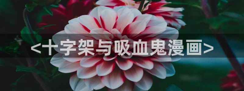 香蕉文化漫画书阅读下拉