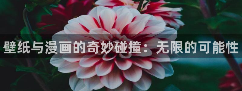 香蕉文化漫画书的下拉式阅读入口